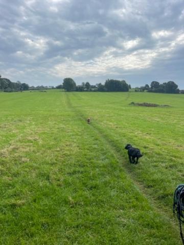 Pet Friendly Ashbourne With Parking Holiday home