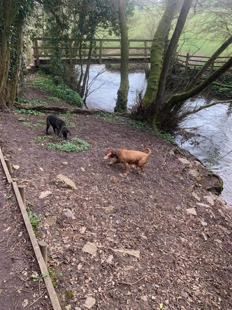 Pet Friendly Ashbourne With Parking *